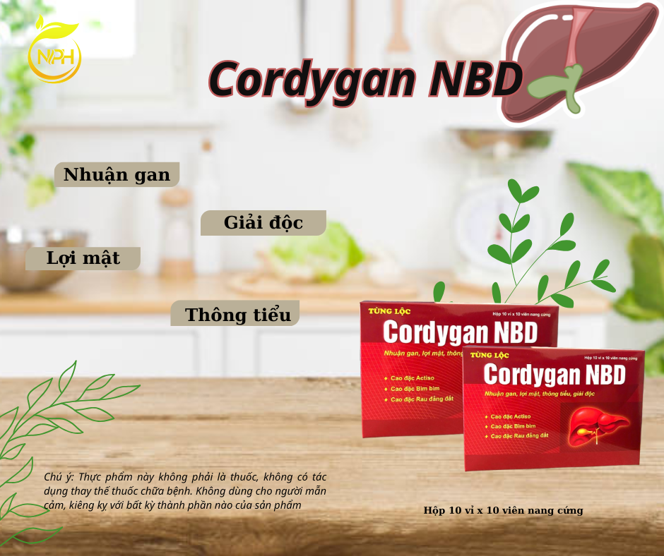 CordyGan NBD
