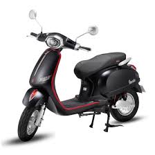 XE MÁY ĐIỆN NIJIA VERDA